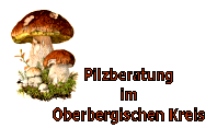 Logo Pilzberatung im Oberbergischen Kreis