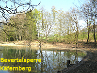 Bevertalsperre Badestelle K&auml;fernberg