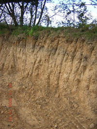 Abbildung eines Bodenprofils