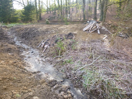 Nach dem Rückbau einer Teichanlage fließt der Fürwegerbach an selber Stelle naturnah entlang. (Foto: Wupperverband)