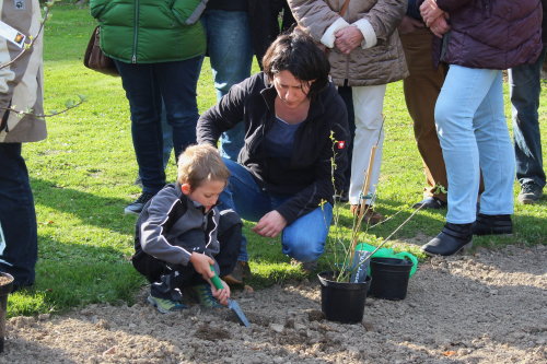 Klein und Groß halfen dabei den Grundstock für den Bibelgarten einzupflanzen. (Foto: OBK)