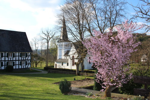 Der Bibelgarten befindet sich auf der Wiese hinter der Kreuzkirche Wiedenest. (Foto: OBK)
