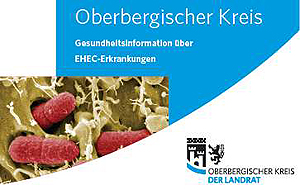 Bild-Ausschnitt aus dem Merkblatt EHEC-Erkrankungen auf der OBK-Startseite
