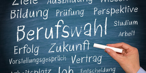 Berufswahl