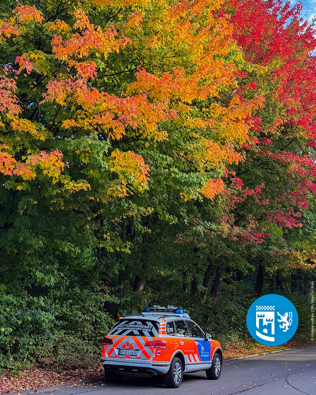 Der Herbst hält Einzug im Oberbergischen. 🍂 

Die Bäume färben sich langsam bunt, die Tage werden kürzer und überall zeigt sich der Herbst von seiner schönsten Seite. 

Passend dazu haben wir heute ein besonders farbenfrohes Einsatzfahrzeug-Foto für Euch. 🚑 

#oberbergischerkreis #oberberg #meinschönsterlandkreis #obk #oberbergisch #oberbergischesland #kreisverwaltung #bergischesland #notfallsanitäter #sanitäter #leitstelle #rettungsassistent #rettung #rettungsdienst