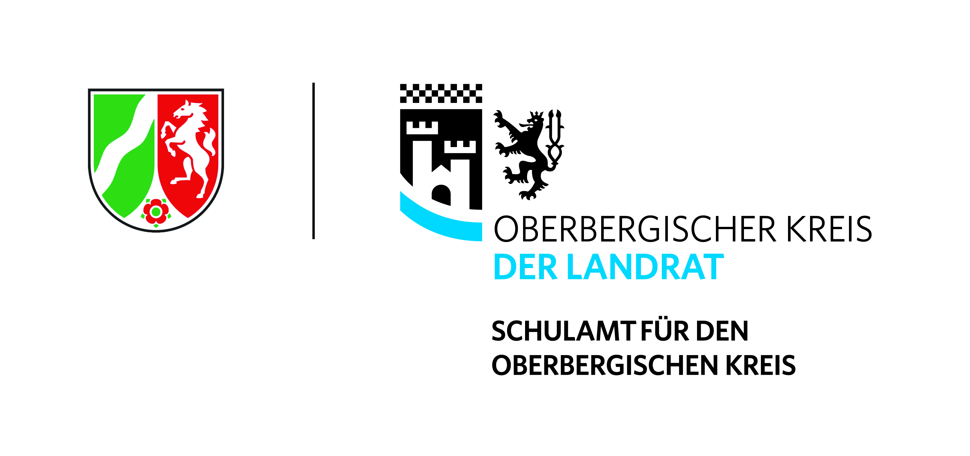 Oberbergischer Kreis Import Landesfinale NRW Der Handball 