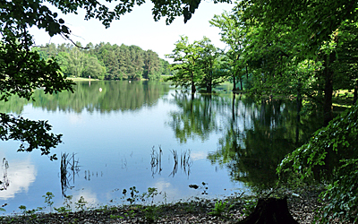 Badestelle Käfernberg an der Bevertalsperre. (Foto: OBK)