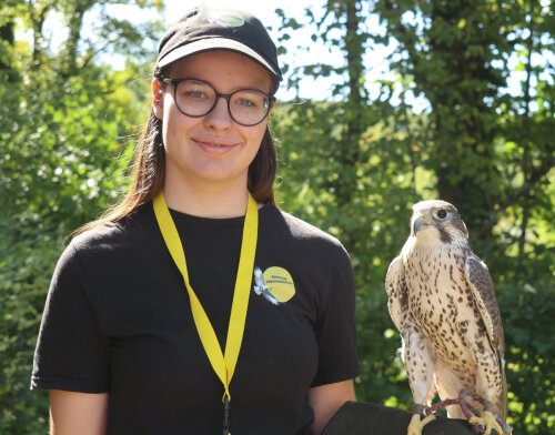Nina Oberhauser von der Bergischen Greifvogelhilfe präsentierte den Präriefalken "Hilde". (Foto: OBK) Nina Oberhauser von der Bergischen Greifvogelhilfe präsentierte den Präriefalken "Hilde". (Foto: OBK)