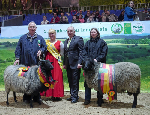 Bruno Becker (l.) aus Wipperfürth stellte im Rahmen der Grünen Woche das Siegerschaf. (Foto: OBK)