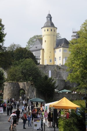 Am Fuße von Schloss Homburg entsteht auch in diesem Jahr wieder eine "(Natur)-Erlebnismeile" (Foto: Biologische Station Oberberg).