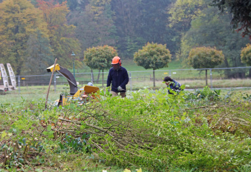 Gehölzarbeiten werden durchgeführt. (Foto: OBK)