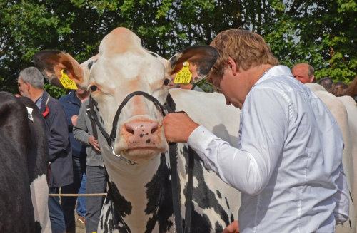 Vor der Schau wurden die Teilnehmerinnen herausgeputzt. (Foto: OBK)