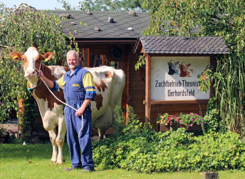 Markus Theunissen mit der ehemaligen "Miss Bergisch Land" Kuh Mandy. (Foto: OBK)