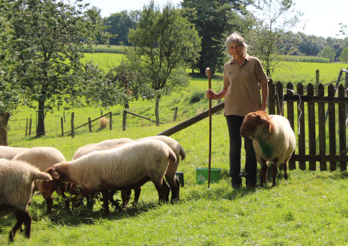 Barbara Hofmann züchtet Coburger Fuchsschafe. (Foto: OBK)