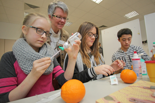 Unter Anleitung wurden Apfelsinen "geimpft". (Foto: OBK)