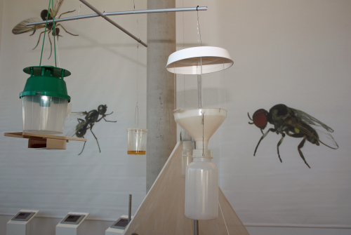 Auch Fliegenfallen und Fliegenklatschen bereichern die Sonderausstellung. (Foto: OBK)