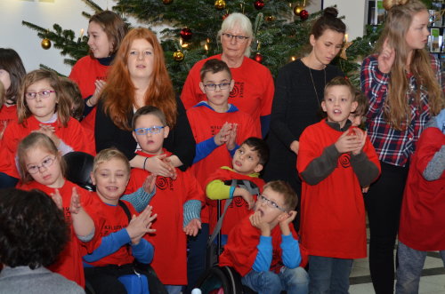 Der Chor trat zum neunten Mal im Kreishaus auf. (Foto: OBK)