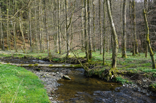 Das Naturschutzgebiet Uelfetal (Foto: OBK)