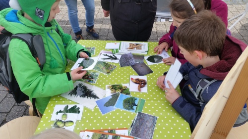 Rund um das Thema Holz geht es an diesem Familiennachmittag für Jung und Alt. (Foto: OBK)