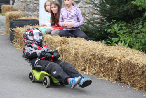 Die neunjährige Clio fuhr im schnittigen Stil durch die rasante S-Schlosskurve. (Foto:OBK)