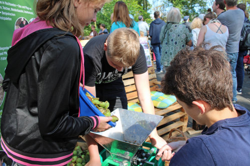 Schüler der Gesamtschule Reichshof präsentieren ihr Projekt "Fliegende Bauten" und stellen Apfelsaft her. (Foto: OBK)