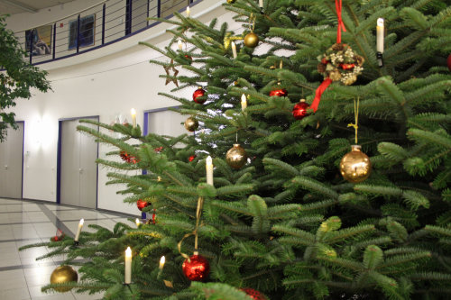 Christbaum im Foyer des Kreishauses (Foto: OBK)