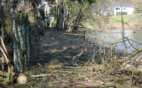 Fällarbeiten zur Sicherung des Damms (Foto: OBK)