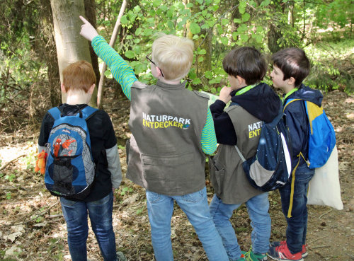 Junge Naturforscher sind in Entdeckerwesten auf Panarbora unterwegs. (Foto: OBK)