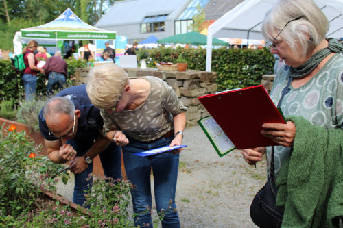 Kräuterquiz (Foto: OBK)