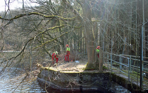 Fällarbeiten am Beverdamm im Bereich des Wehres. (Foto: OBK)   