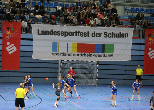 Landesfinale der Handball-Schulmannschaften in 2019. (Foto: OBK)