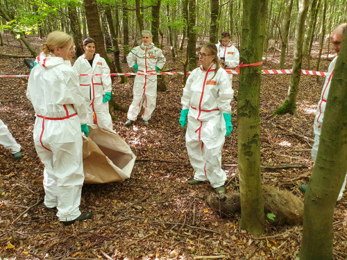 Ein verendetes Wildschwein wird geborgen. (Foto: OBK)