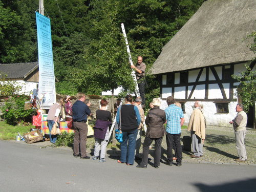 Bergische Obstsorten stehen am 18. August 2019 in Haus Dahl im Mittelpunkt. (Foto: Sigrid Fröhling, Museum und Forum Schloss Homburg) Bergische Obstsorten stehen am 18. August 2019 in Haus Dahl im Mittelpunkt. (Foto: Sigrid Fröhling, Museum und Forum Schloss Homburg)