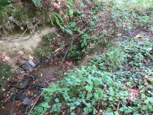 Die Trockenheit macht der Natur zu schaffen. (Foto: OBK)