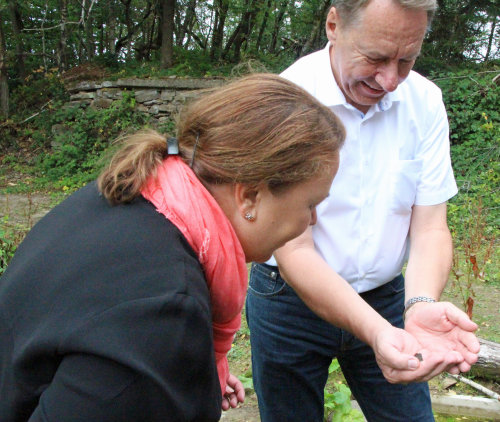Landesumweltministerin Ursula Heinen-Esser und Landrat Jochen Hagt konnten sich im Naturschutzgebiet eines Lindlarer Steinbruchs davon überzeugen, dass sich seltene Tierarten wie die Gelbbauchunke wieder ansiedeln können. (Foto: OBK)  