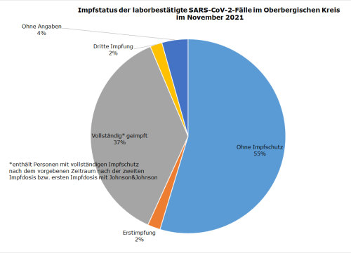 Impfstatus der laborbestätigte SARS-CoV-2-Fälle im Oberbergischen Kreis im November 2021. (Grafik: OBK)