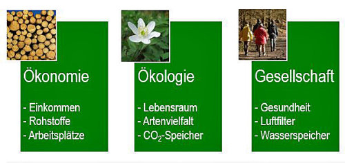 Zentrale Aussage der diesjährigen Waldkonferenz: Zur Zukunftssicherung des Waldes müssen Naturschutz, Umweltschutz, Klimaschutz und Wirtschaft gemeinsam betrachtet werden. (Foto/ Grafik: OBK) Zentrale Aussage der diesjährigen Waldkonferenz: Zur Zukunftssicherung des Waldes müssen Naturschutz, Umweltschutz, Klimaschutz und Wirtschaft gemeinsam betrachtet werden. (Foto/ Grafik: OBK)