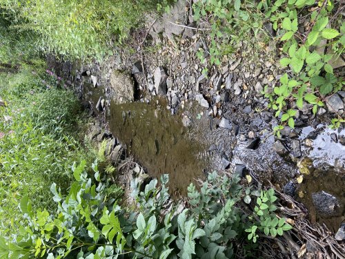 Aufgrund der anhaltenden Trockenheit führen viele Bäche und Flüsse aktuell wenig Wasser. (Foto: OBK) Aufgrund der anhaltenden Trockenheit führen viele Bäche und Flüsse aktuell wenig Wasser. (Foto: OBK)