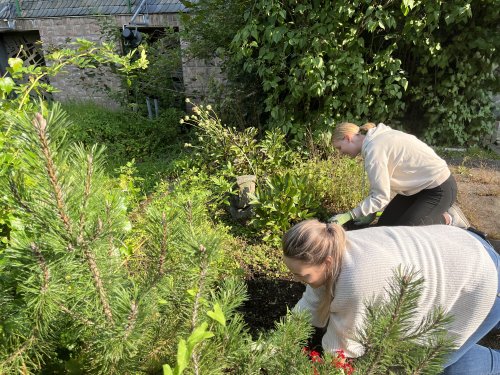 Pflege der Anlage Seniorenzentrum Bethel in Wiehl. (Foto: OBK)