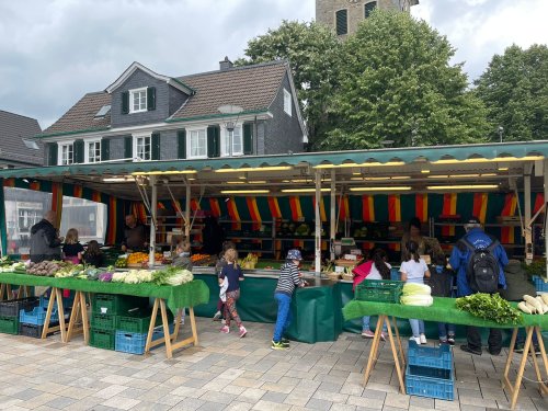Beim Einkauf auf dem Wochenmarkt konnten die Schülerinnen und Schüler ihre Deutschkenntnisse anbringen. (Foto: OBK) Beim Einkauf auf dem Wochenmarkt konnten die Schülerinnen und Schüler ihre Deutschkenntnisse anbringen. (Foto: OBK)