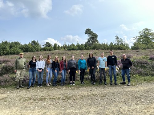 Pflege der Kulturlandschaft Wacholderheide in Reichshof. (Foto: OBK)