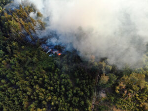 Drohnenaufnahmen von Vegetationsbrand im Waldgebiet - 51789 Lindlar, K19 / Wolfsschlade. (Foto: OBK)