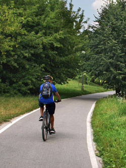 Fahradfahren auf Fahrradweg