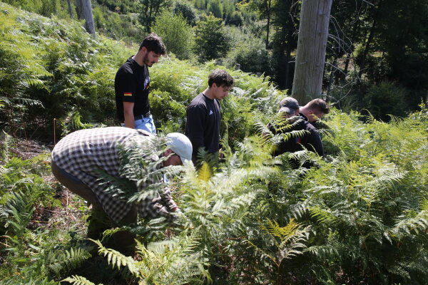 Social Day 2025 - Waldarbeiten (Foto: obk)