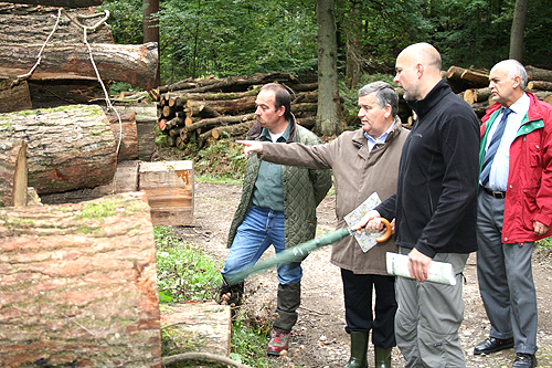 Mit dem Zustand des Kreisforstes zufrieden (v.l.): Revierleiter Axel Lang, Landrat Hagen Jobi, Betriebsleiter Wolfgang Müller und Kreiskämmerer Werner Krüger. (Foto: OBK)