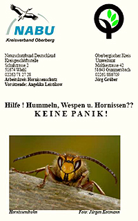 Ausschnitt aus der Titelseite des Faltblattes "Hilfe! Hummeln, Wespen und Hornissen? Keine Panik!"