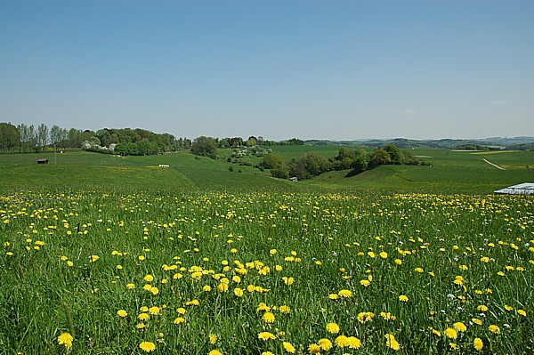 Das Bild zeigt das Homburger L&auml;ndchen im Sonnenschein