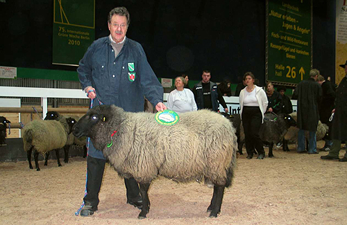Klaus Peter Turck mit einem Ia prämierten Schaf (Foto: Markus Barkhausen)