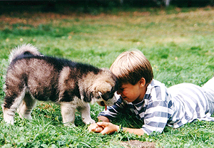 Ein Juge mit einem Husky-Welpen (Foto: obs/Mars Petcare Deutschland)