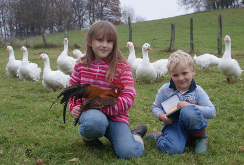 Die achtjährige Leandra Heise aus Eckenhagen freut sich mit ihrem Bruder Eric über die Bundesjugendmedaille, die sie bei der Rassegeflügelschau des Oberbergischen Kreises mit ihrem Hahn der Rasse „Zwerg Brakel“ gewinnen konnte. (Foto: OBK)